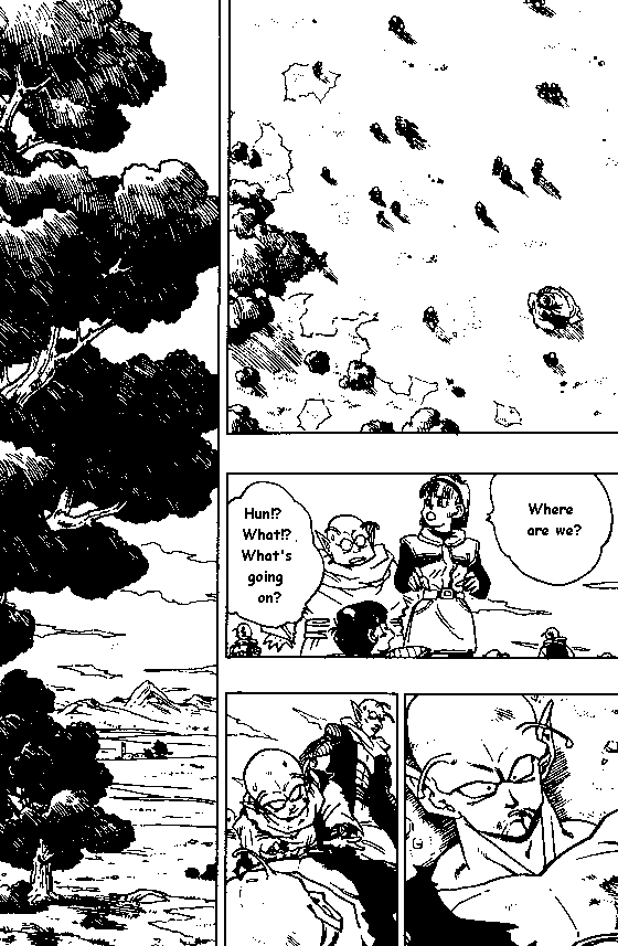 Dragon Ball Chapter 324 12